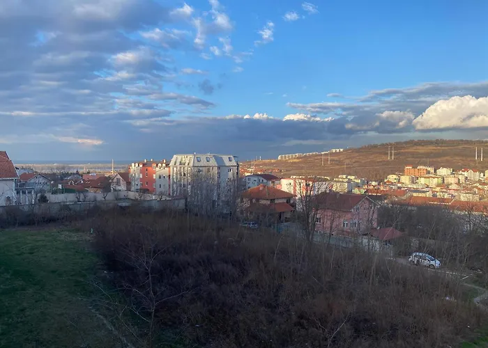 Malina 24