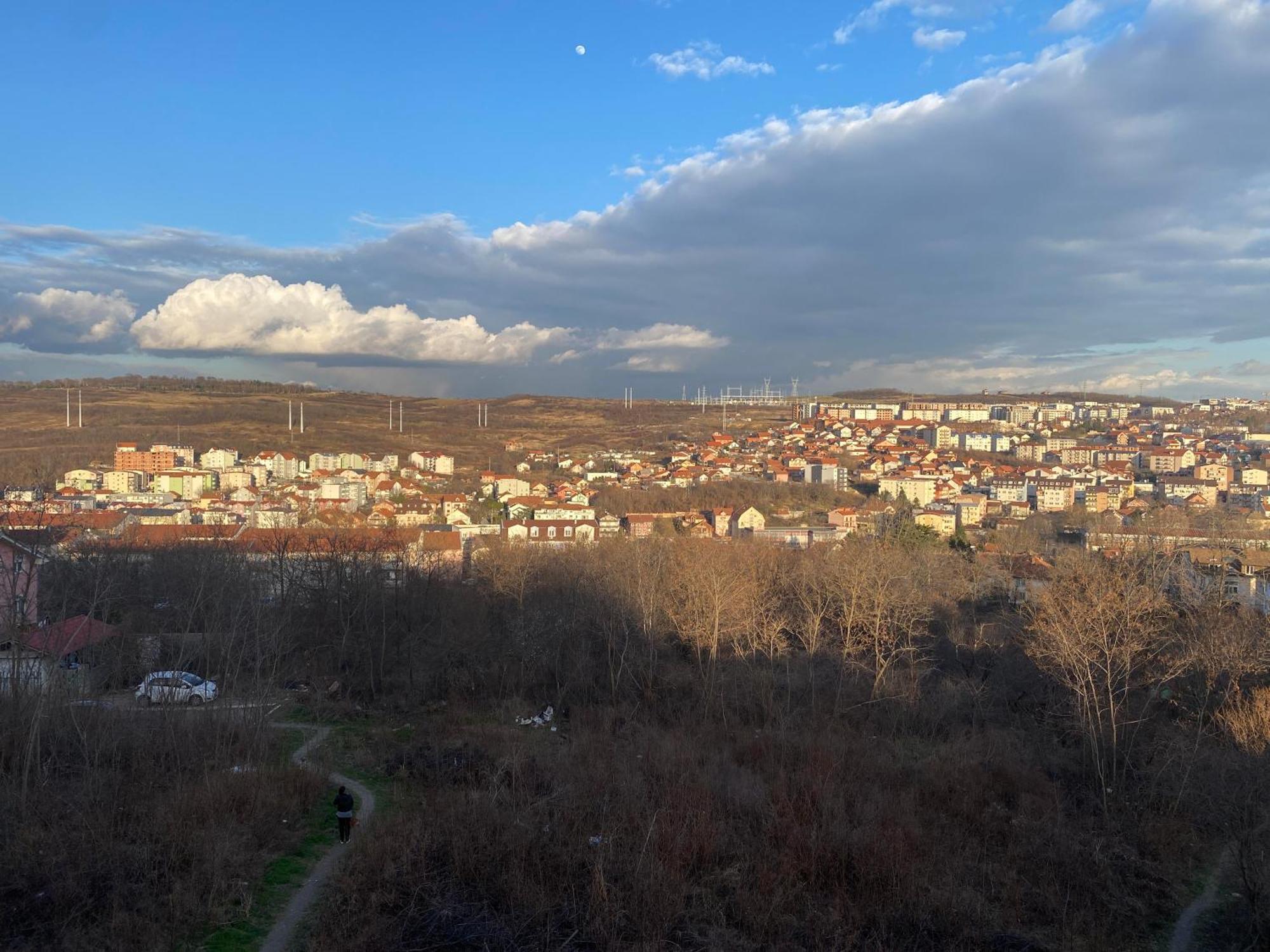 Malina 24